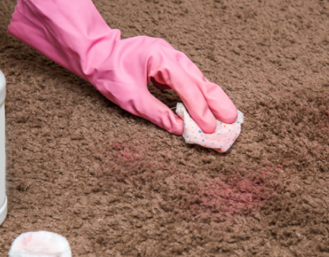 Carpet cleaning services