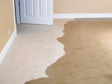 How to Protect Your Carpets aRugs from Water Damages