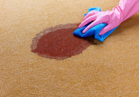 DIY Carpet Cleaning